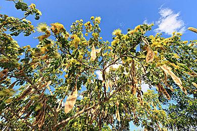 品控太差？玩家抱怨《星空》典藏版手表一个月就坏了