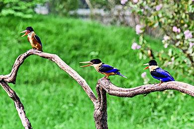 《战锤40K：暗潮》媒体评分解禁 M站均分74